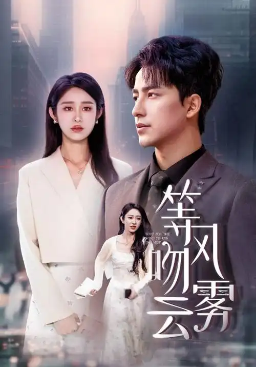 《权谋天下》电视剧海报